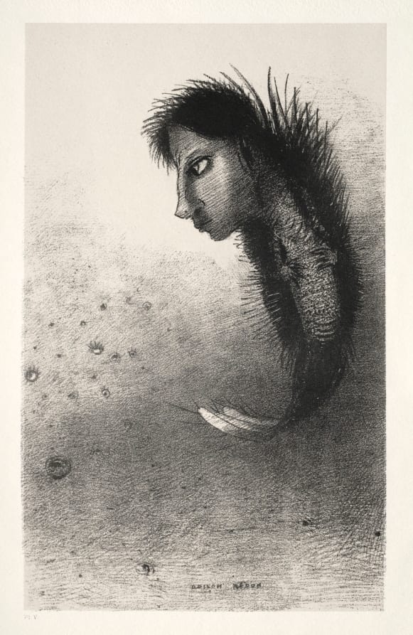 Then There Appears a Singular Being, Having the Head of a — artwork